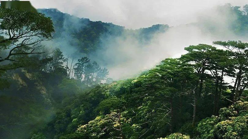 太阁立志传5